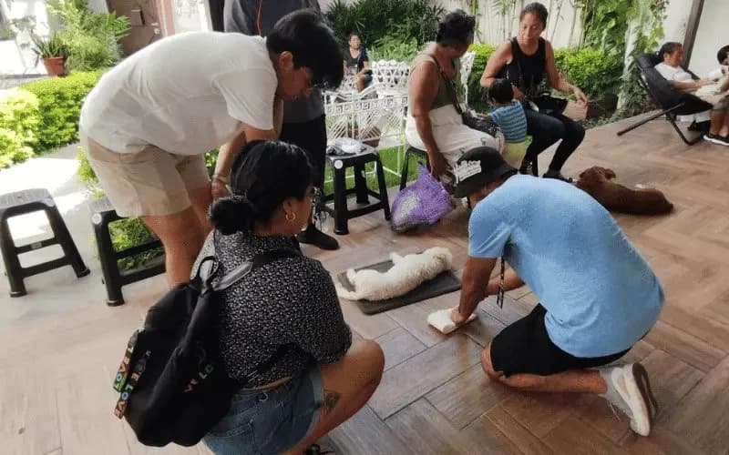 ¡10 campañas de esterilización logradas!